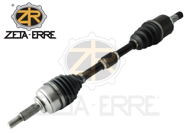 ZR12185