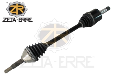 ZR12193