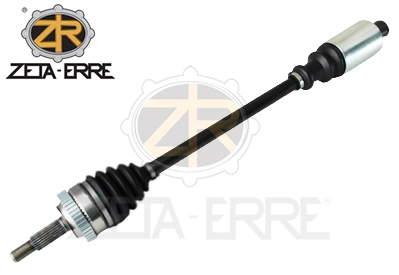 ZR11848