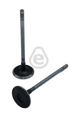 EVI210