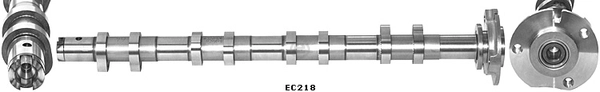 EC218