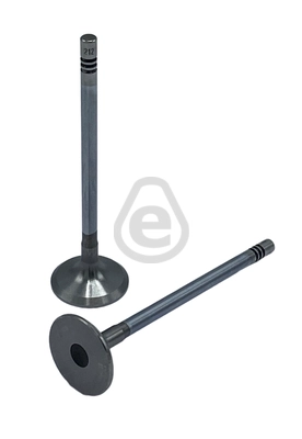 EVI212