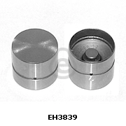 EH3839