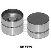 EH7596