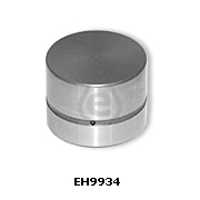 EH9934