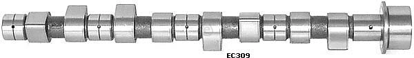 EC309