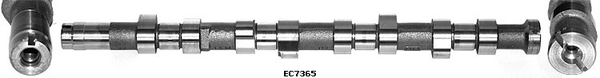 1271186CT0000