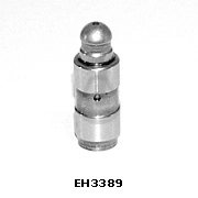 EH3389