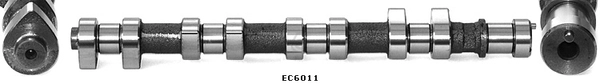 EC6011
