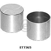 ET7365