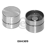 EH4309