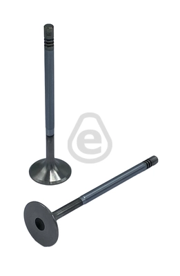 EVI500