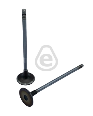 EVI302