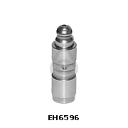 EH6596