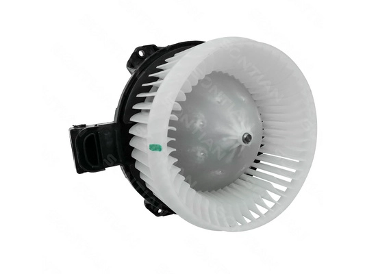 ZD172553A