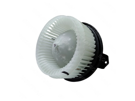 ZD172407A