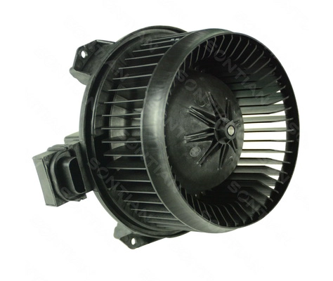 ZD172363
