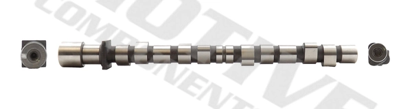 T8061