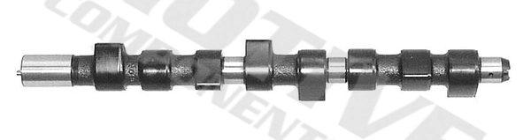 T8051
