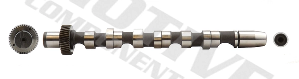 T065