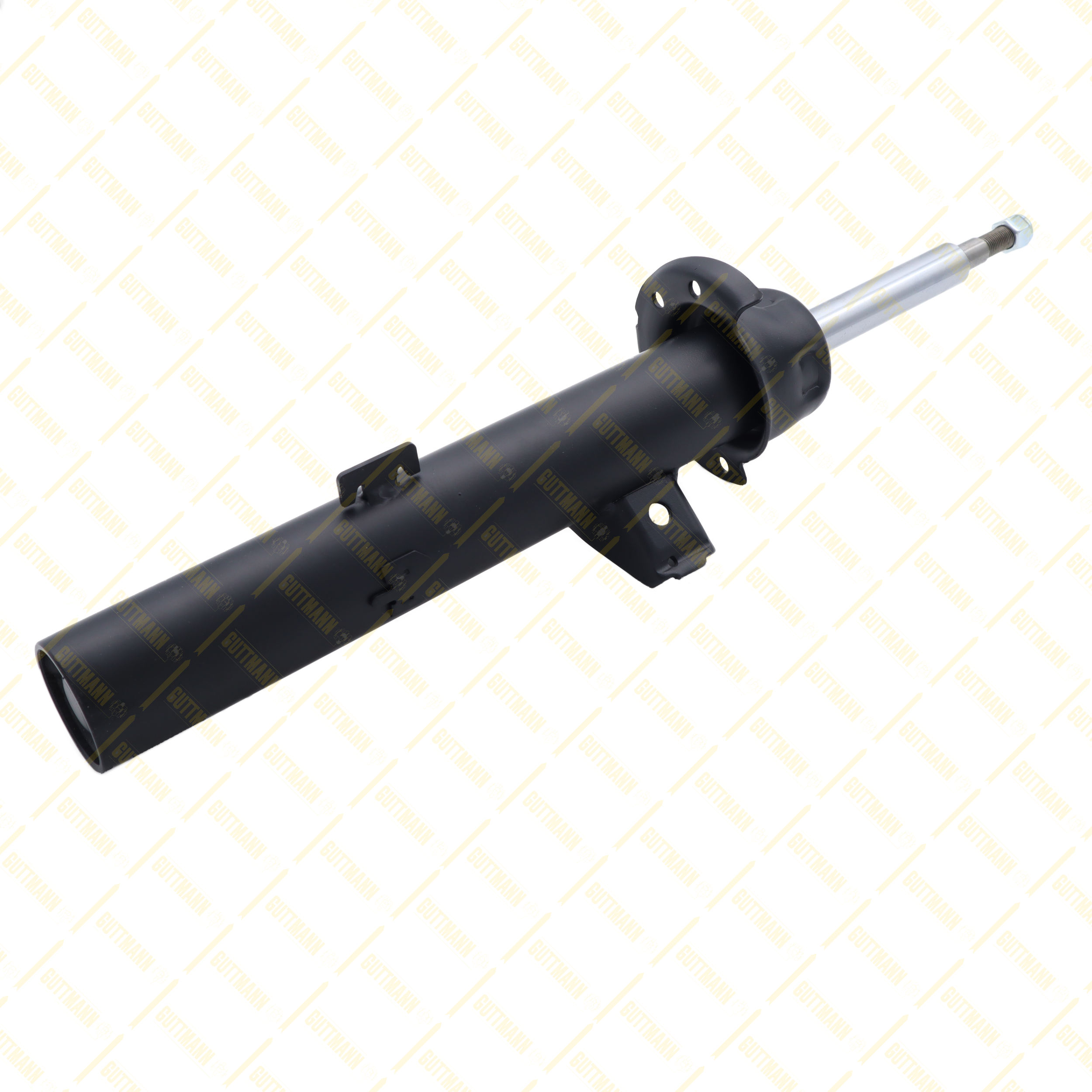 AMT301