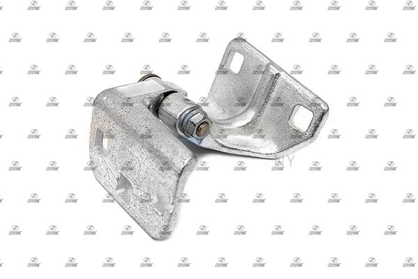 BZT29.00021