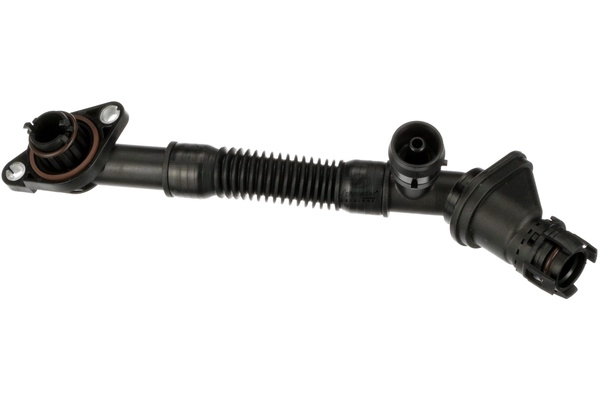 BMS19.00299