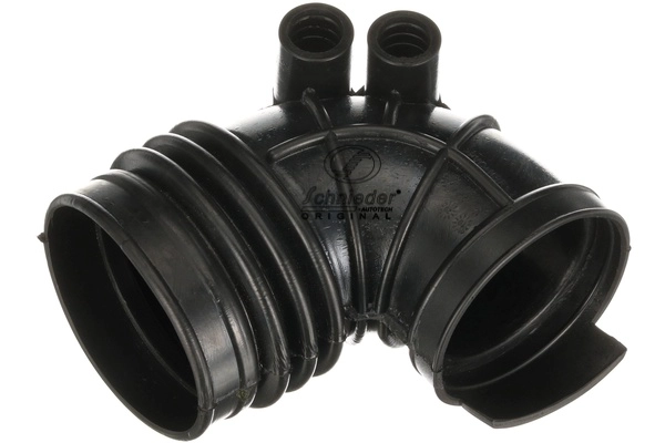 BMS19.00236
