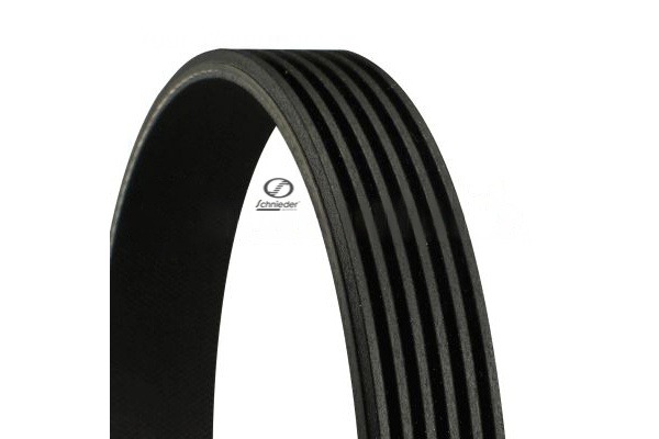 SH6PK2020