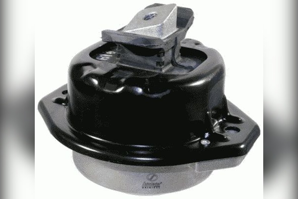 BMS35.00113