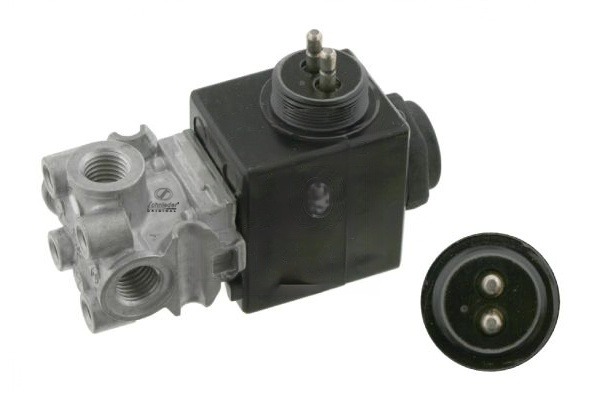 SCT20.00174