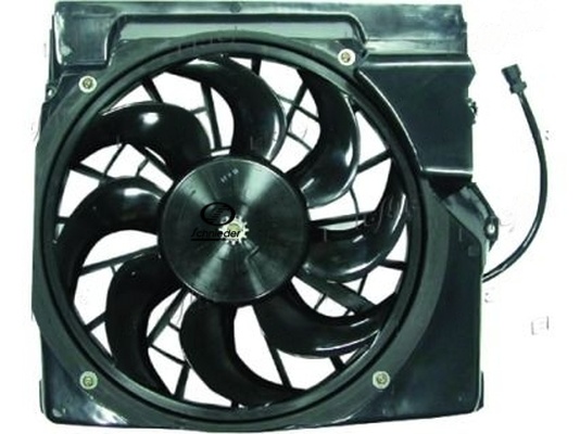 BMS47.00055
