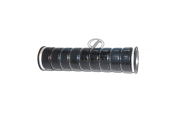 VLT19.00209