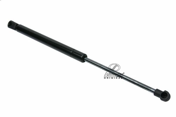BMS12.00038