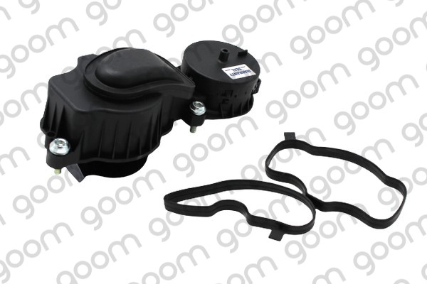 EBV-0010