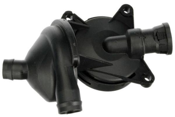 EBV-0036