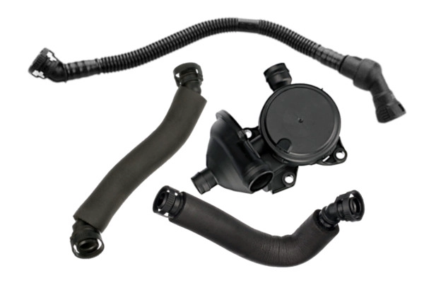 EBV-0031