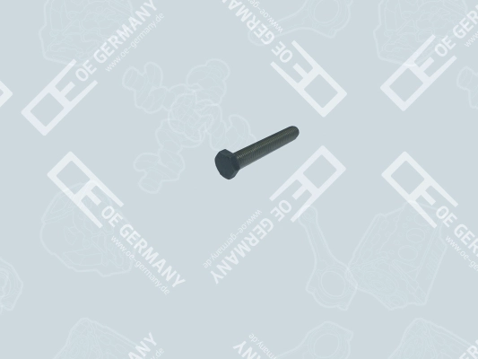 51900010156