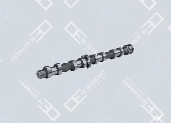 A6510500300