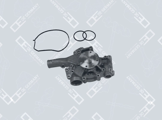 9062004301