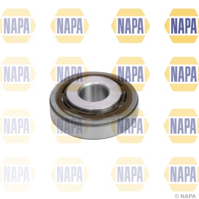 NKM1069