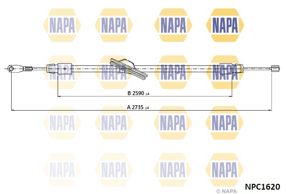 NPC1620