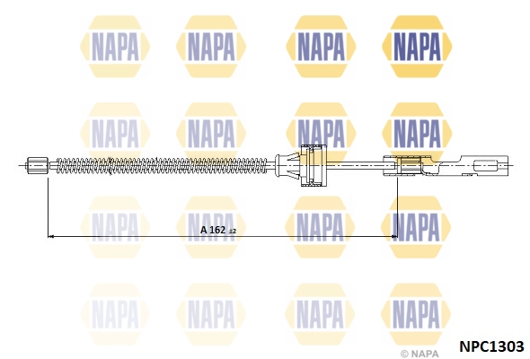 NPC1303