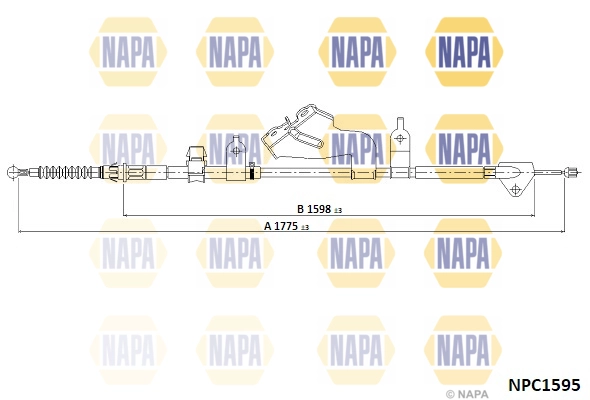 NPC1595