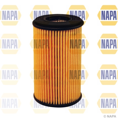 NFO3065