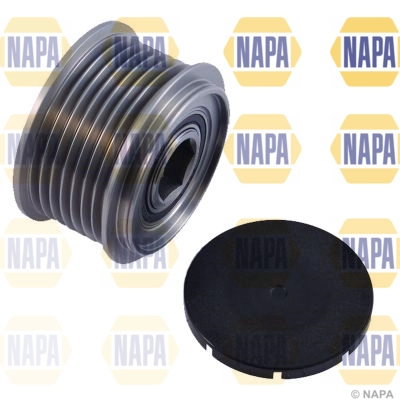 NOP1031