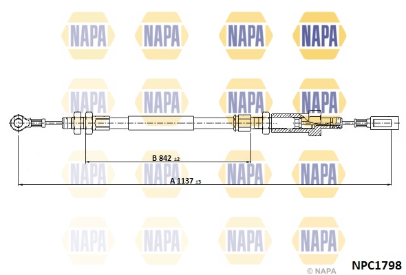 NPC1798