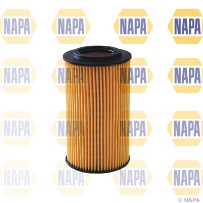 NFO3124