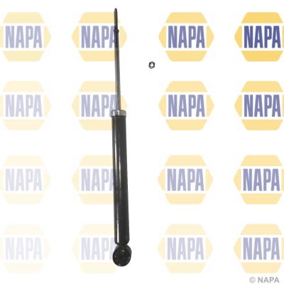 NSA1919