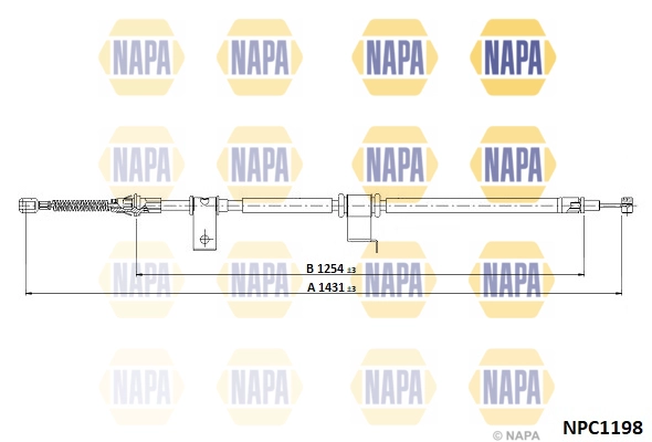 NPC1198